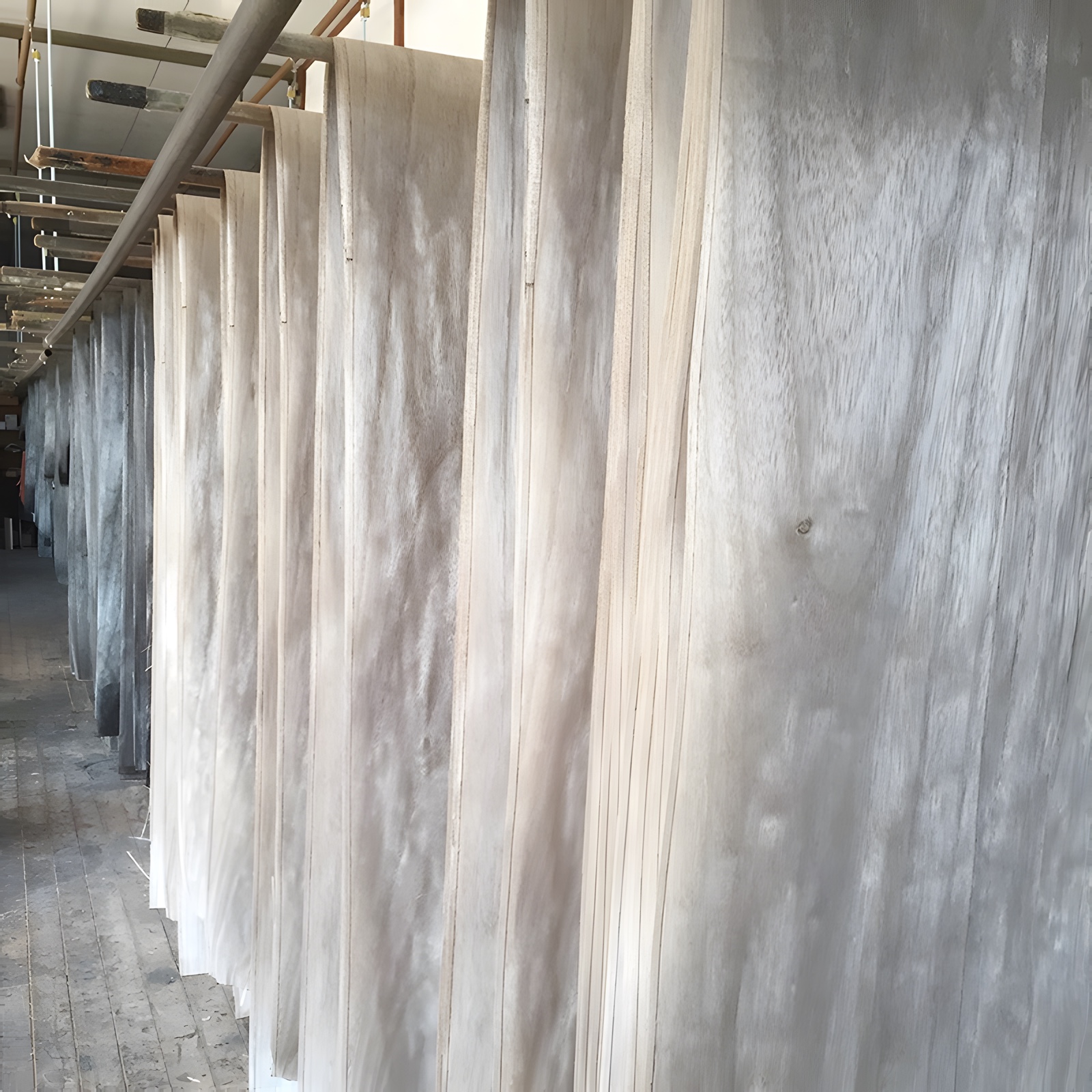 Sheets of kiri veneer hung to dry in the workshop